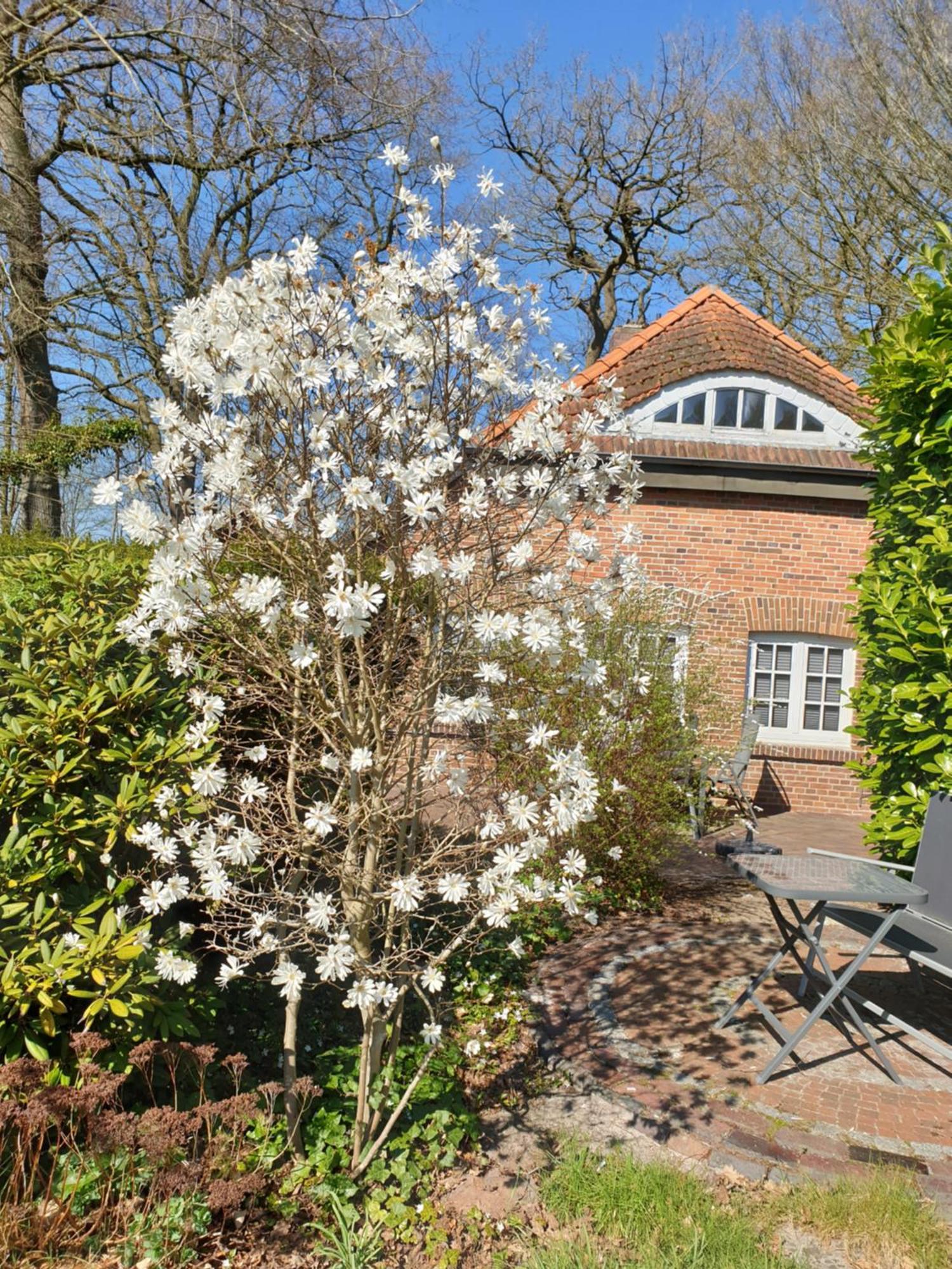 Ferienwohnung Kaminzimmer Westerstede Exterior photo